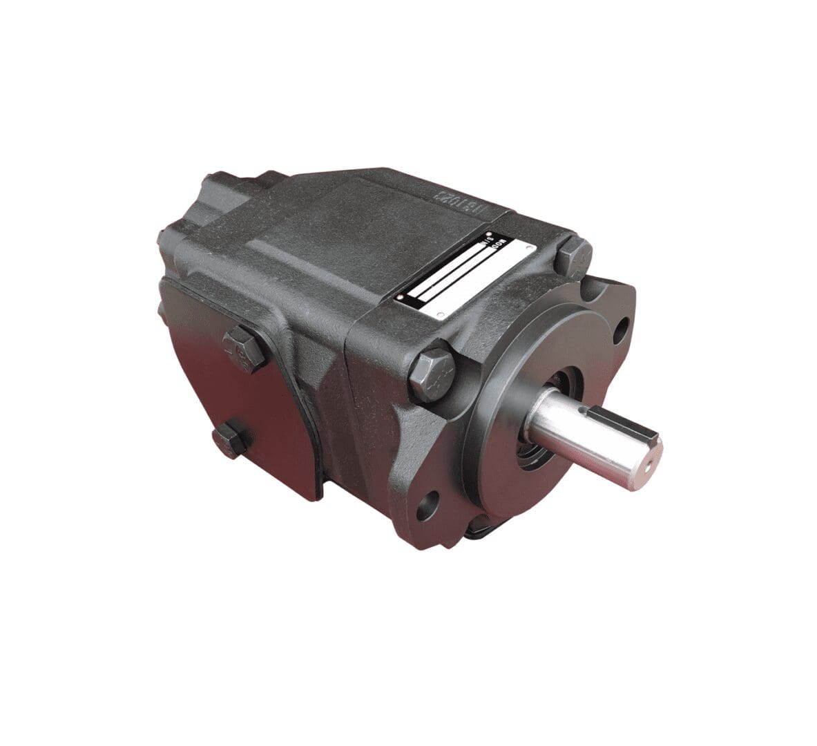 Hydraulic pump with metal casing and shaft.